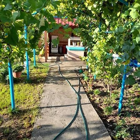 Отель Casa Anhela Корбу Экстерьер фото